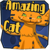 Amazing Cat