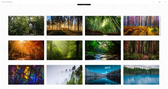 Forest Wallpapers screenshot 1
