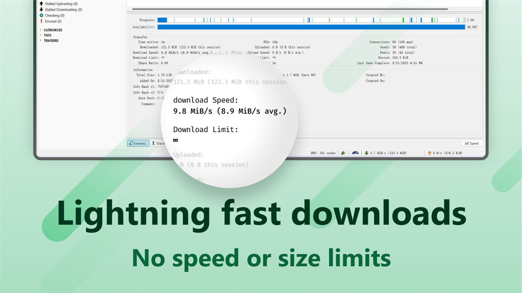 Torrent+_2