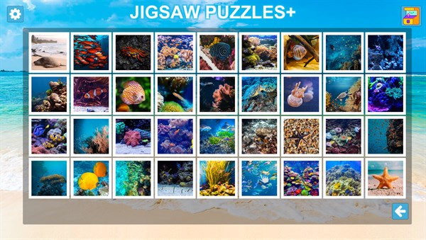 Jigsaw Puzzles+ : HD Collections — 8