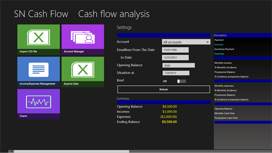 SN Cash Flow screenshot 1