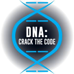 DNA: Crack the Code