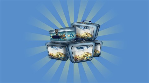 Bundle of 5 Lunchboxes