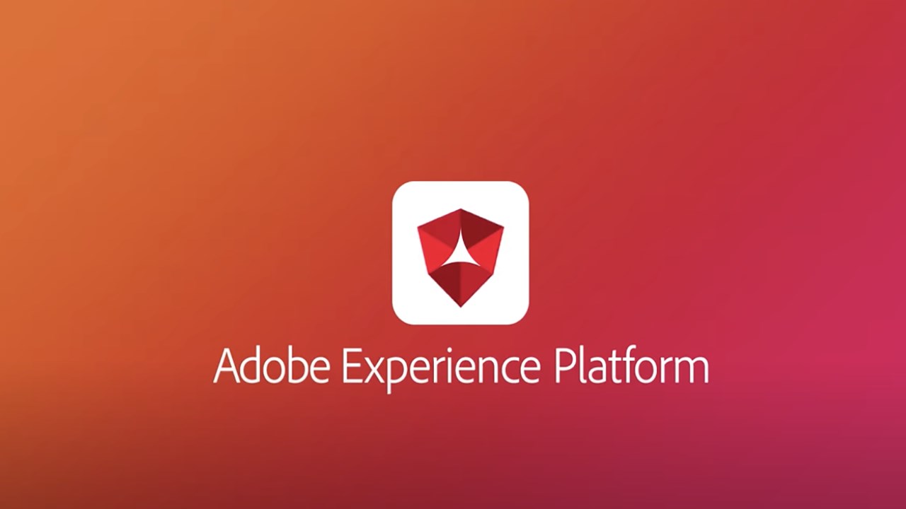Snapshot 1 of Adobe Real-Time Customer Data Platform
