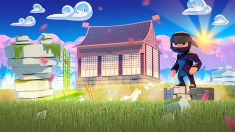 Mad Dojo