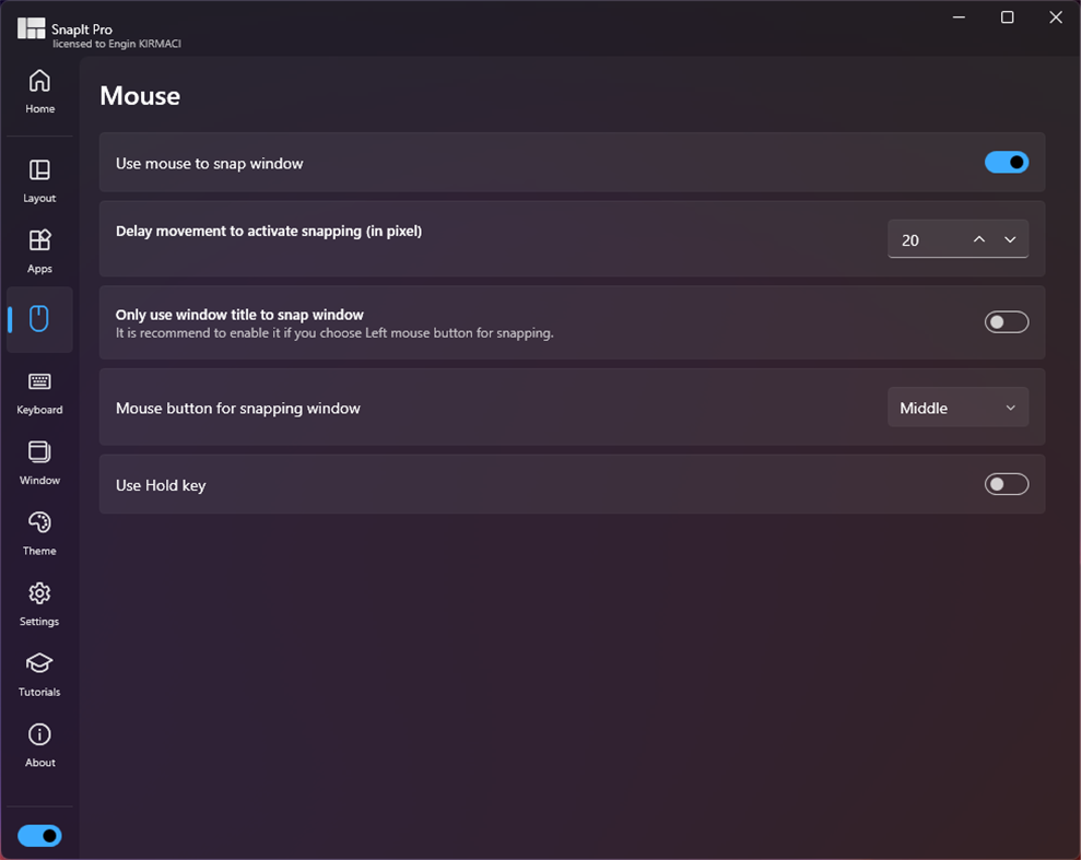 #5. SnapIt (Windows) 由: Engin Kırmacı