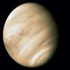 Venus Pictures