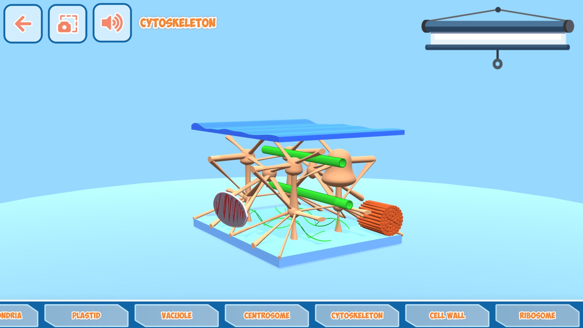 Cell Biology: Structure & Functions screenshot