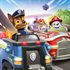 Paw Patrol, la Pat'Patrouille : Grand Prix - Édition complète