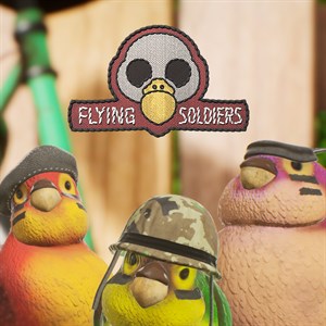 Flying Soldiers cover image