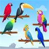 Bird Sort Puzzle: Color Game