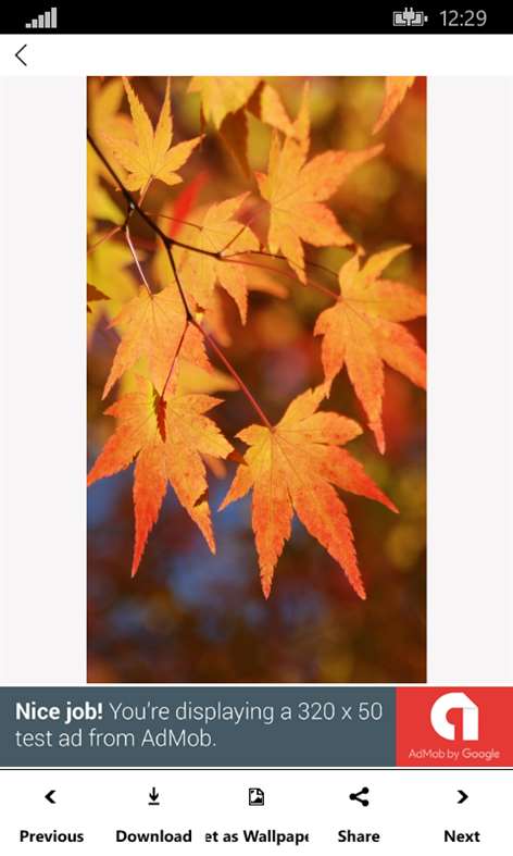 Autumn_Wallpapers Screenshots 2