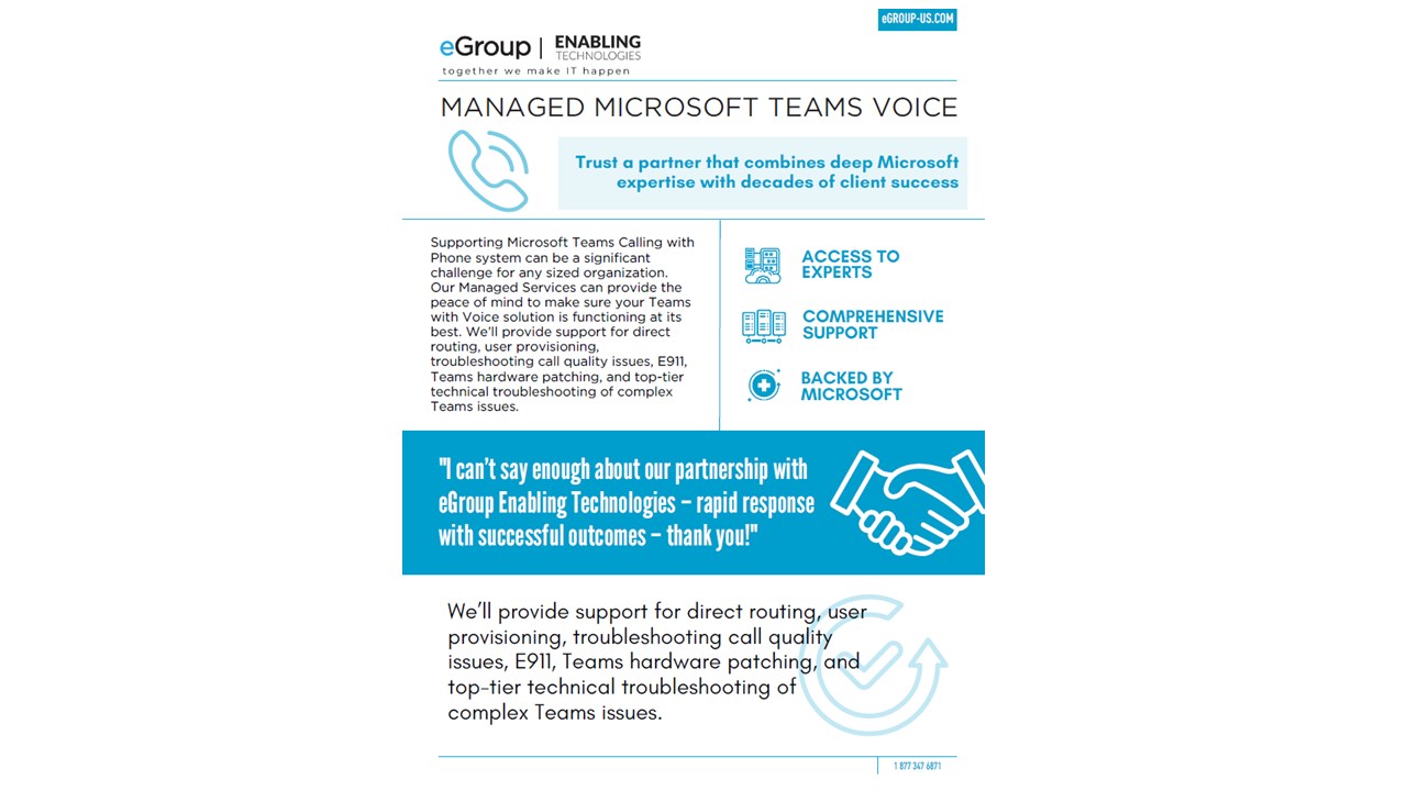 Snapshot 1 of Managed Microsoft Teams Voice: 12-Mo Briefing