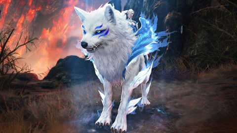 TERA : Pack de fondateur Deluxe
