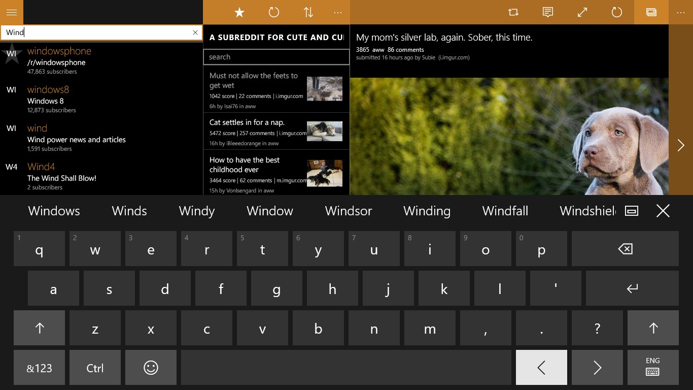 Infinity For Reddit For Windows 10