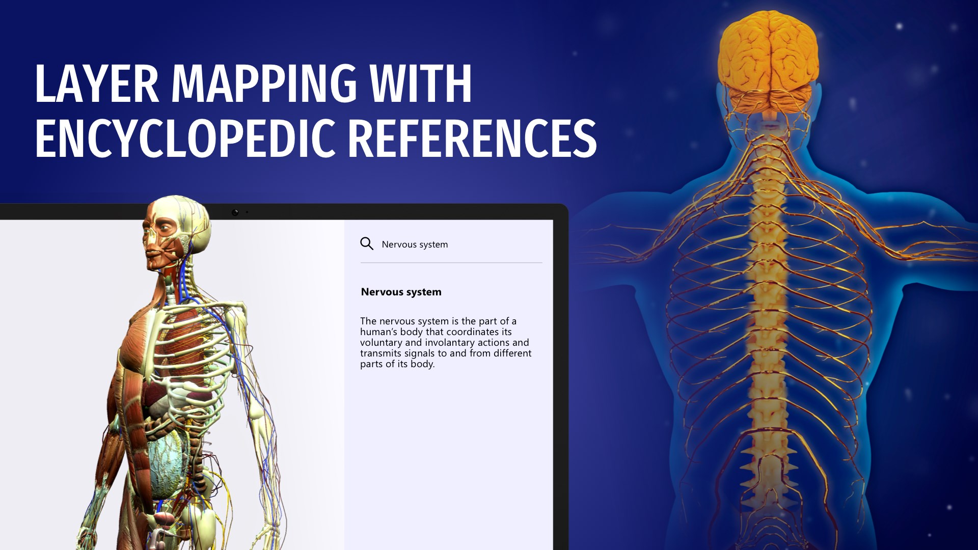 人体解剖学：医学身体模型和解剖图集- Microsoft Apps