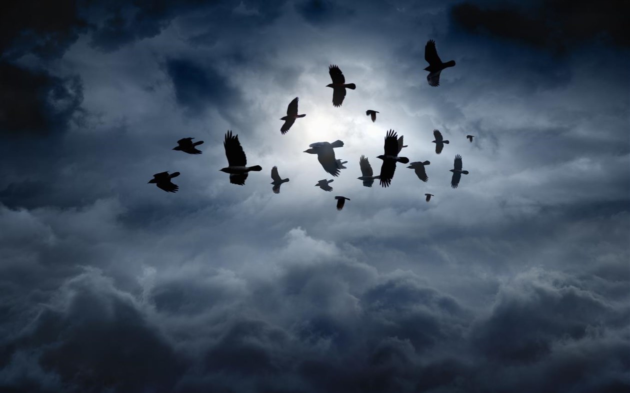 #2. Call of the Raven (Windows) 由: Microsoft Corporation