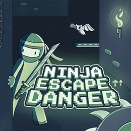 Aperçu Ninja Escape Danger
