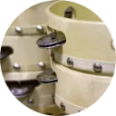 Tambourine Wallpaper New Tab icon