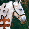 Jigsaw Puzzle Horses Edition