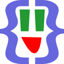 JSON Lite icon
