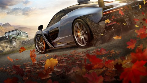 Przepustka samochodowa Forza Horizon 4