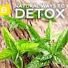 Simple Ways to Detox Your Body