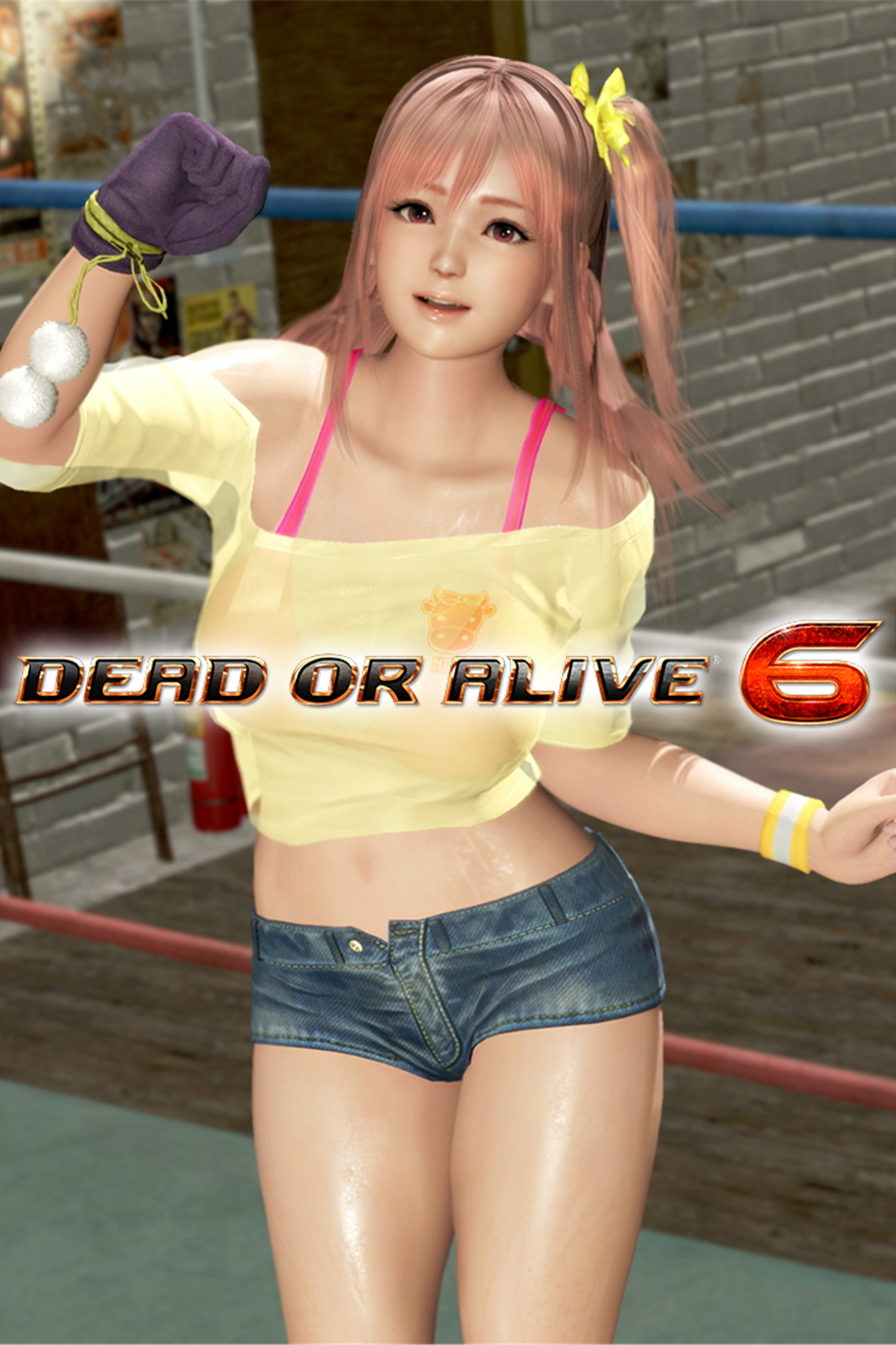 DOA6 Energy Up! Training Wear - Honoka | Xbox | Chiave | Privato