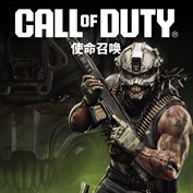 无可用字幕