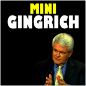 MiniGingrich