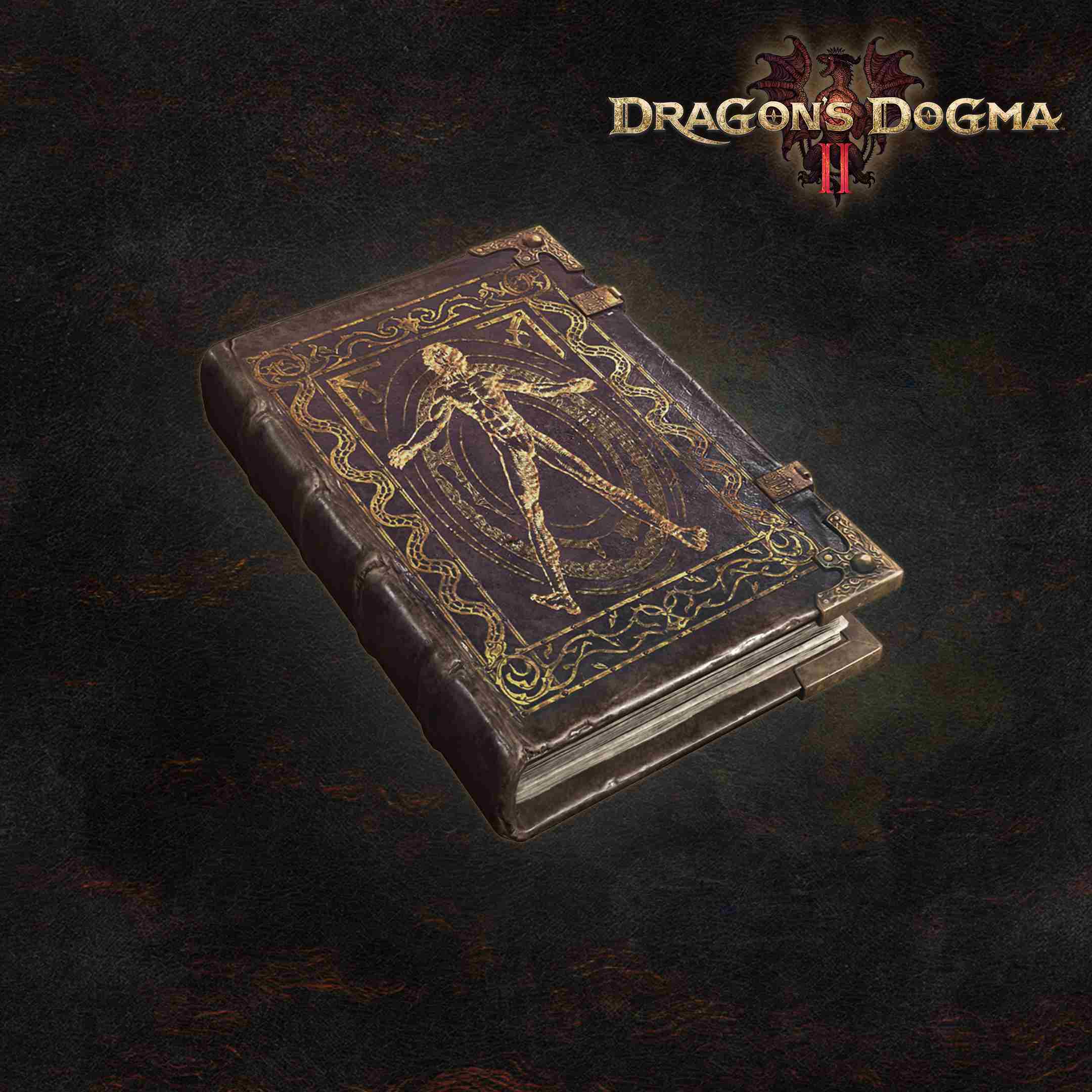 Dragon's Dogma 2: Arte da Metamorfose: para editar seu personagem