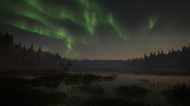 theHunter: Call of the Wild - Revontuli Coast screenshot 3