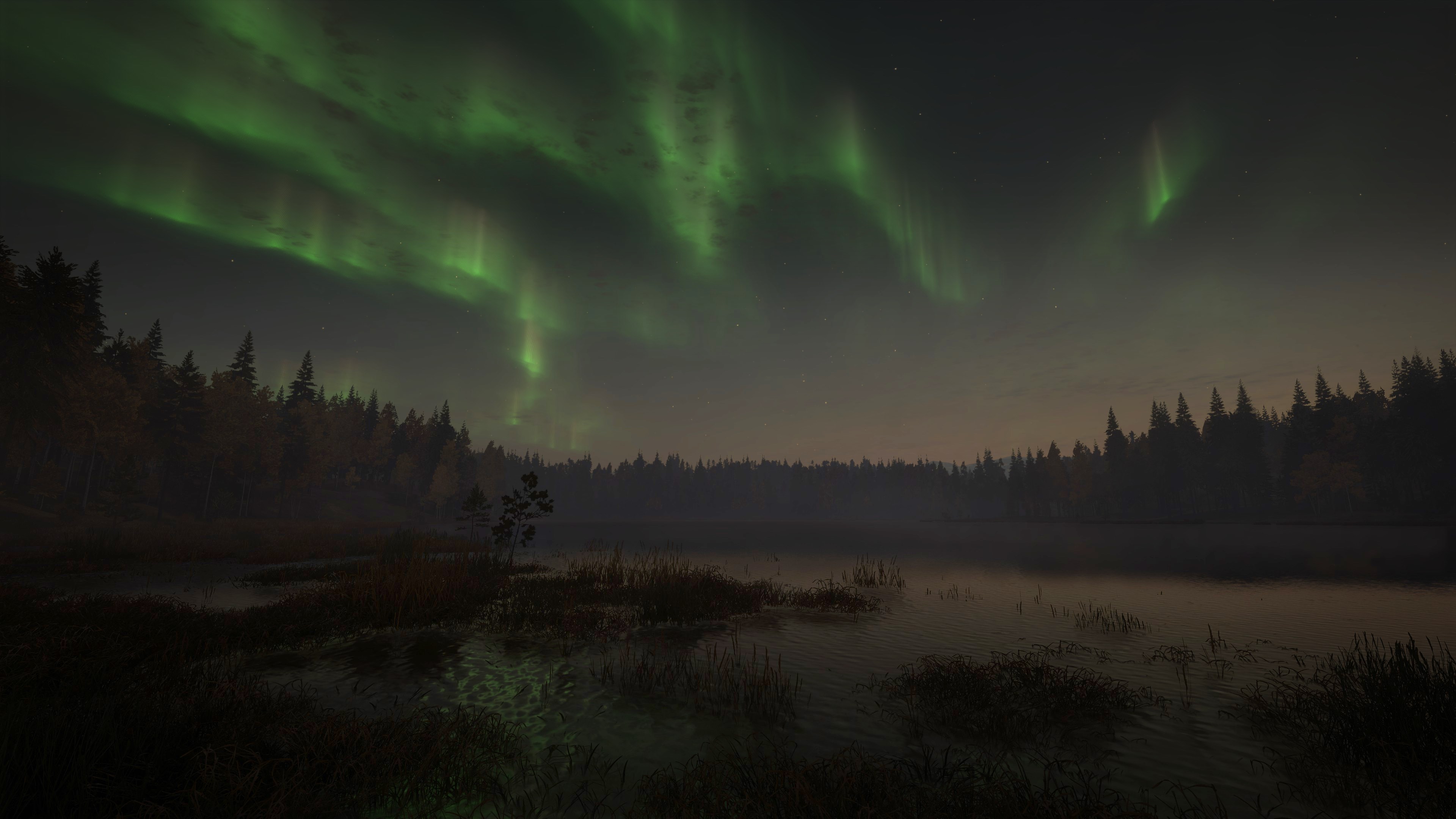 theHunter: Call of the Wild™ - Revontuli Coast - Windows 10 | Xbox | Chiave | Privato