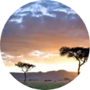 Kenya Wallpaper New Tab icon