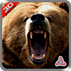 Bear Jungle Attack