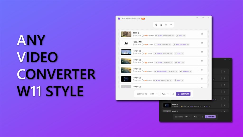 Video Converter - Any Video Converter_1