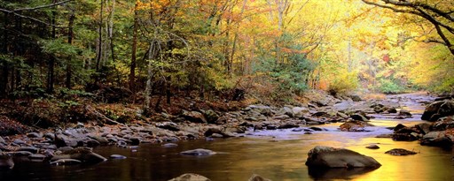 Great Smoky Mountains National Park New Tab marquee promo image