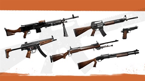 Insurgency: Sandstorm - Woodwork Weapon Skin Set
