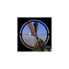 Birds Hunting Sniper 3D