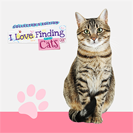 Aperçu I Love Finding Cats Collector's Edition