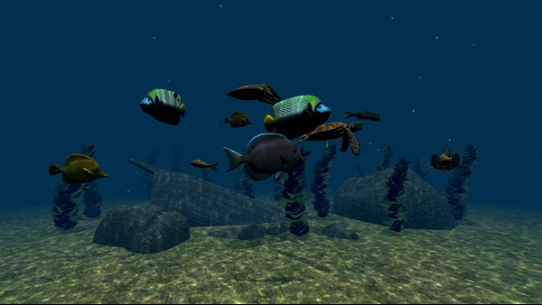 Fish Tank — 4