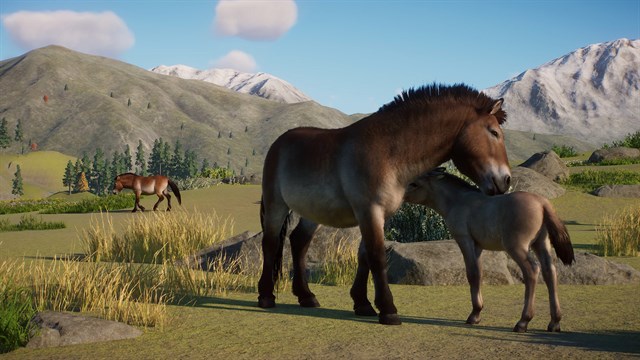 Planet Zoo: Conservation Pack screenshot 1