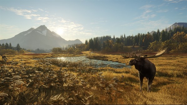 theHunter: Call of the Wild screenshot
