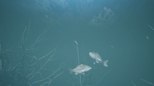 Bassmaster® Fishing 2022: Super Deluxe Edition