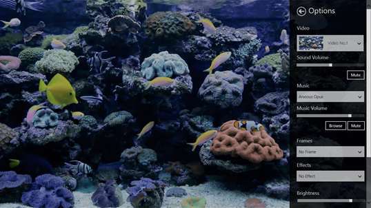 Coral Fish Aquarium screenshot 2