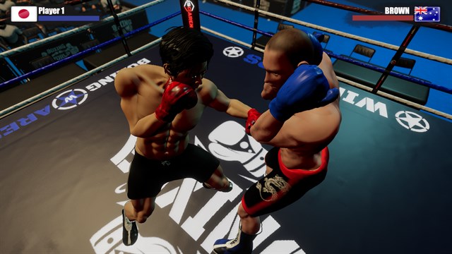 Rookie Boxing screenshot 1