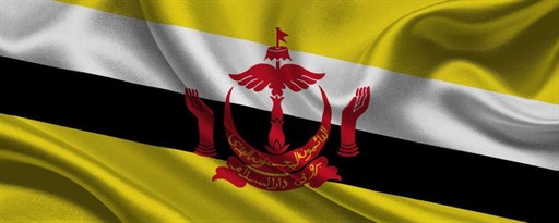 Brunei Flag Wallpaper New Tab marquee promo image