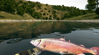 House Builder & Ultimate Fishing Simulator screenshot 5