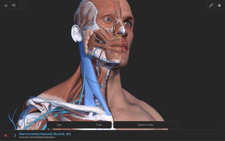 Visual Anatomy 3D - Human - PC - (Windows)