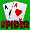 Spider *
